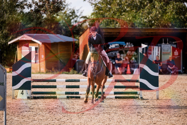 2026_10_03_Siefer-Hof_161037_Z81_90253091 | Professionelle Reitsport-, Turnier- und Eventfotografie von Robert Broda. Galerien mit ausgewählten und bearbeiteten Bildern direkt online ansehen und bestellen.