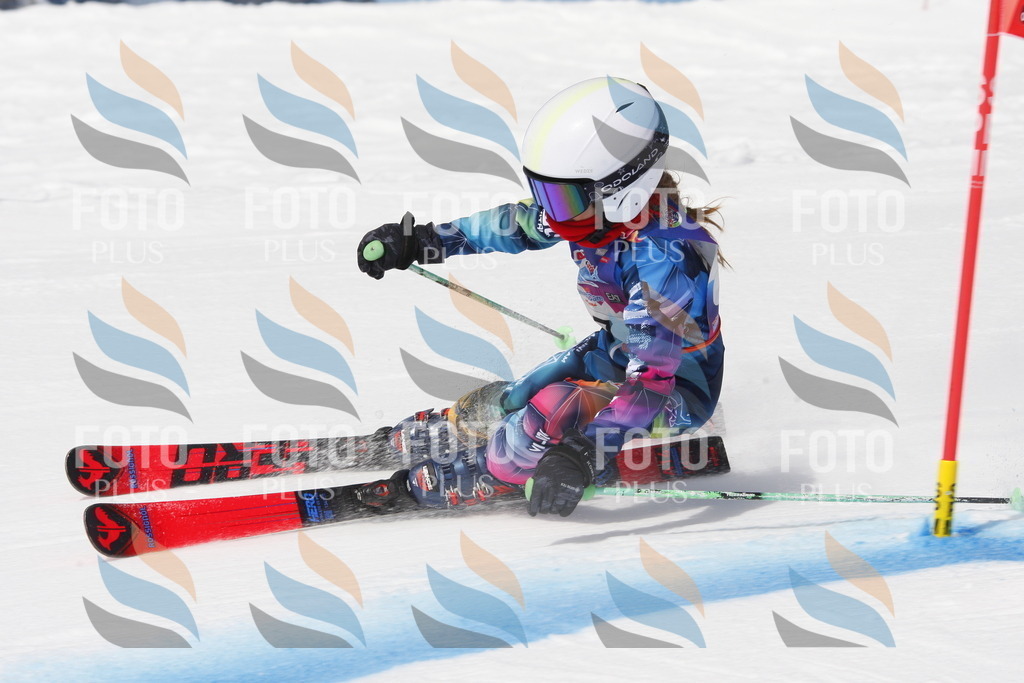 _W1G0523 | holidayphoto