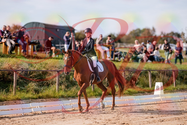 2026_10_03_Siefer-Hof_114014_Z81_82560398 | Professionelle Reitsport-, Turnier- und Eventfotografie von Robert Broda. Galerien mit ausgewählten und bearbeiteten Bildern direkt online ansehen und bestellen.