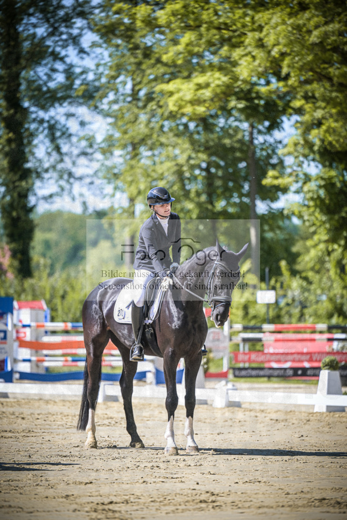 DOS_0407 | Entdecke hochwertige Reitturnierfotos von Foto Oger. Professionell, emotional und authentisch – jetzt Lieblingsmomente im Shop bestellen.Deutschlandweite Turnierfotografie. - Realisiert mit Pictrs.com