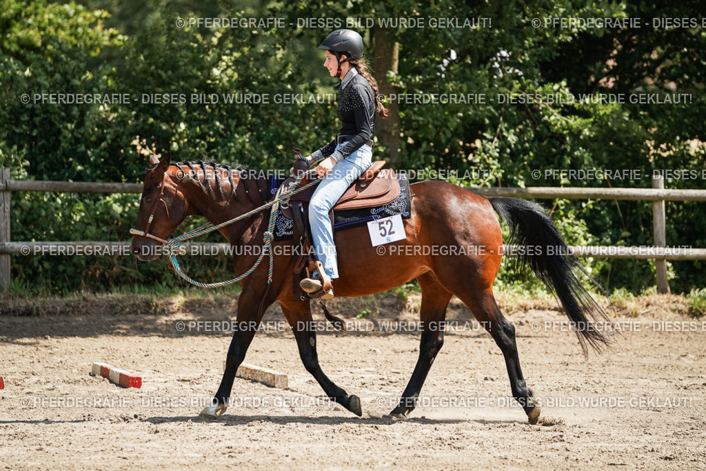 DSC07678 | Pferdegrafie