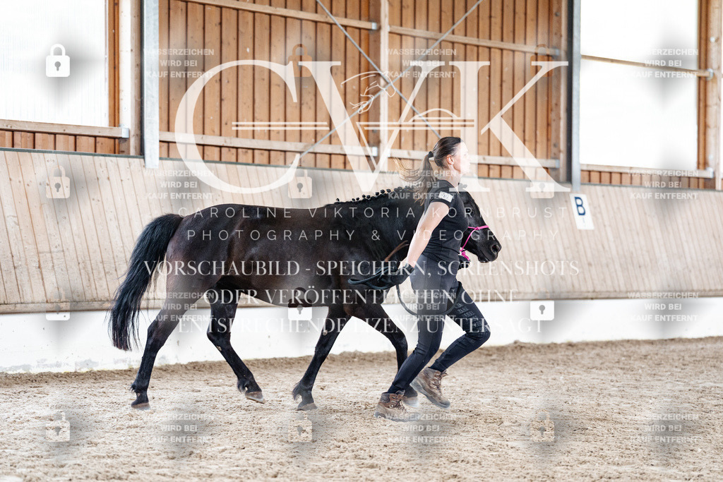 CK908344 | Turnierfotografie Pferdefotografie Trier Rheinland-Pfalz Pferdesport Reitsport Tierfotografie Sportfotografie Pferdevideo Pferdevideografie Equestrianvideography equestrianphotography  - Realisiert mit Pictrs.com