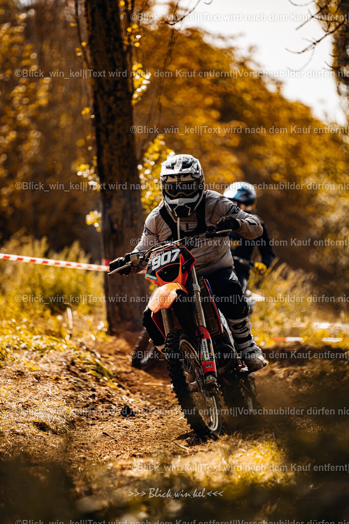 E68A1566 | blick_win_kel