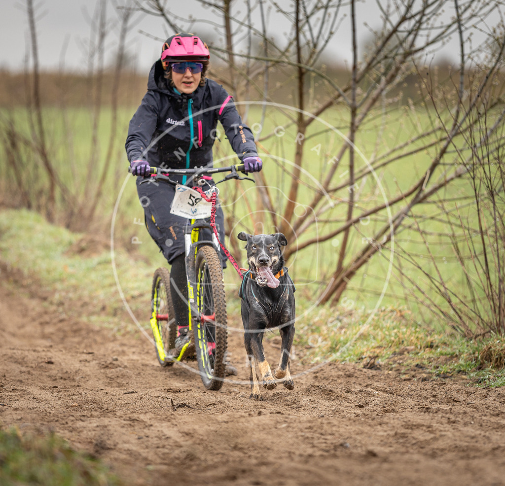 DV3A9323 | Hundefotografie, Tierfotograf, Pfotenfotografie, Fotoshooting Hund, Hunde Portrait, Hundesport, Hundeportraits, Heideshooting, Hunde, Sportfotograf, Hundefotograf, Turnierhundsport, THS,  - Realisiert mit Pictrs.com