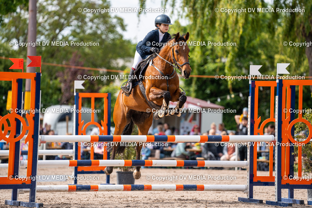 Eppelheim Tag 2-661 | dv-media-shop - Realisiert mit Pictrs.com