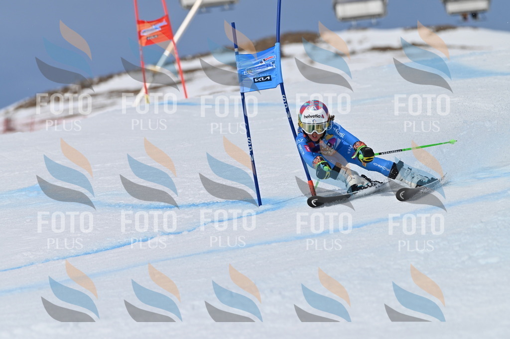 BGV_7119 | holidayphoto