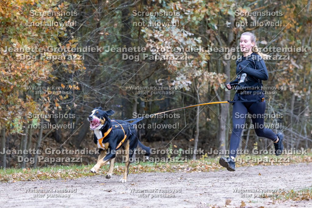 Dog Paparazzi - SD CaniX Championship 2025-431 | Dog Paparazzi Jeanette Grottendiek Fotografie & Videografie - Realisiert mit Pictrs.com