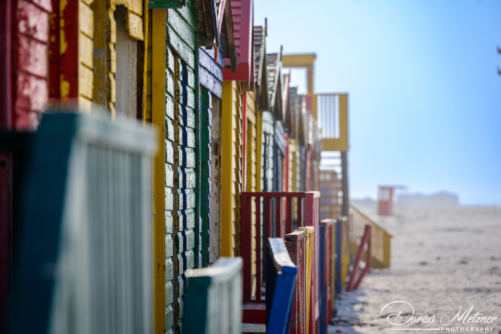 _DSC6527 | Fotografien, Fotos und Bilder aus Mainz, Frankfurt, Wiesbaden und anderen Orten auf der Welt - Fotografiert von Darius Metzner