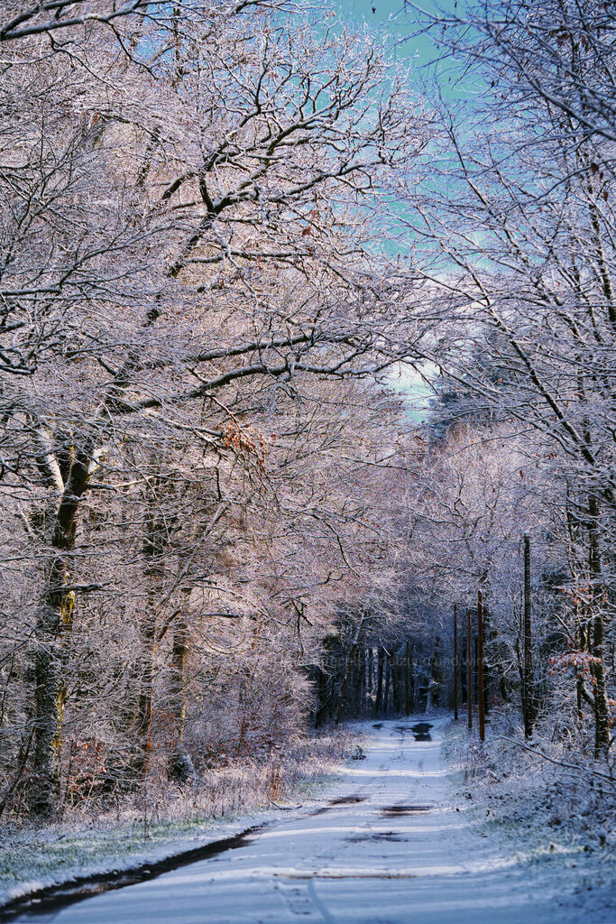 Wandbild Wintestimmung | People- und Tierfotografie, Imageaufnahmen, Veranstaltungsfotografie und Wandbilder aus der Natur ★ Made in Germany ✔️ Druck + Downloads ✔️ Naturfotografie in Top Qualität ★ schneller Versand, weltweite Lieferung! - Realisiert mit Pictrs.com