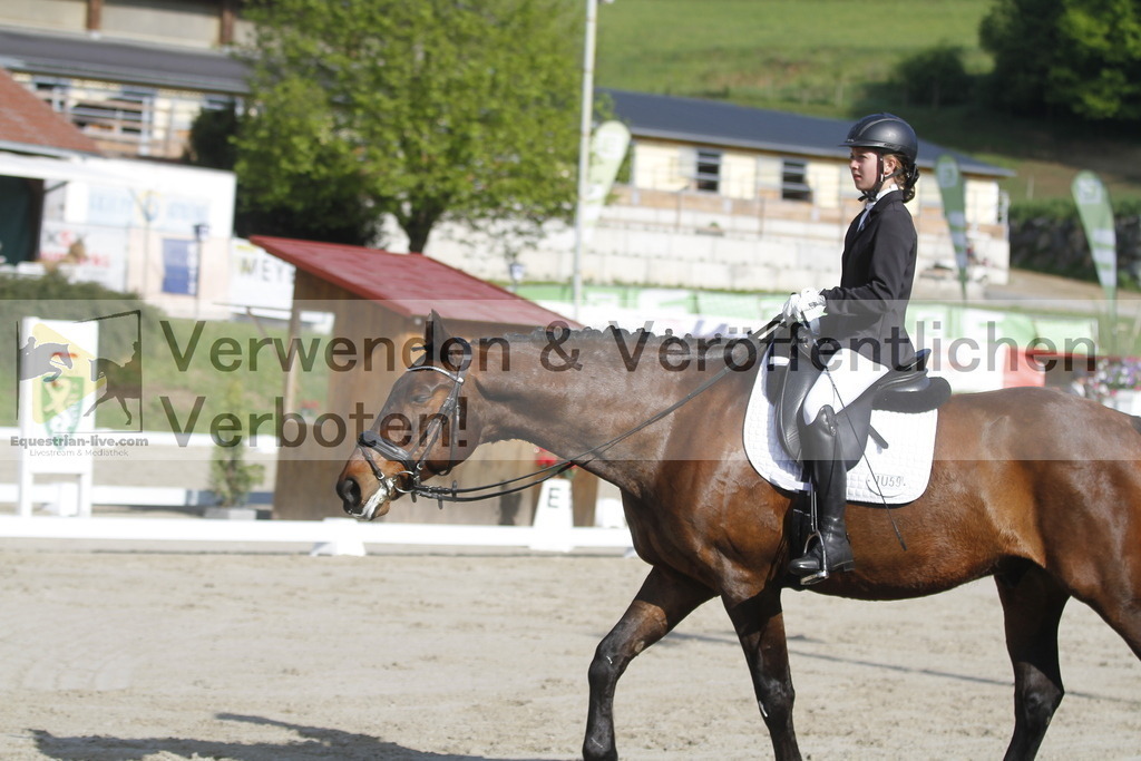 _MG_9208 | equestrian-live-com