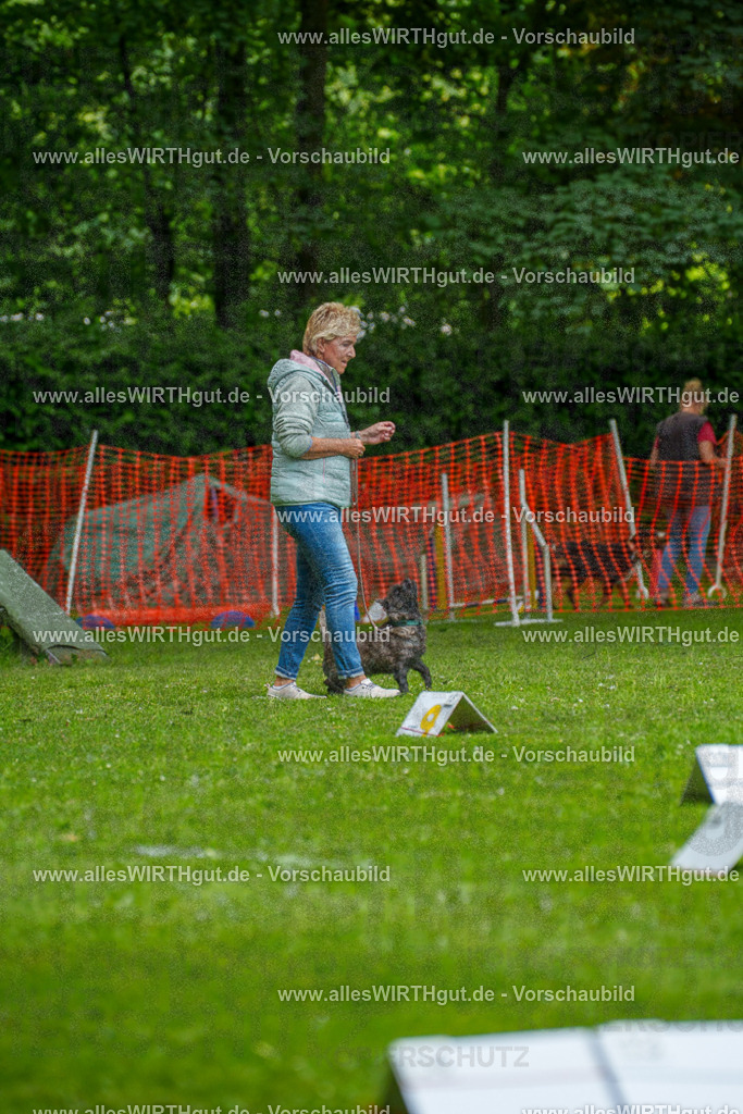 @allesWIRTHgut_Tierfotografie - www.allesWIRTHgut.de - 7R504403 | Professionelle Tierfotografie in Mönchengladbach von Daniel Wirth (allesWIRTHgut). Liebevolle & natürliche Bilder von Hunden & Katzen für unvergessliche Erinnerungen.