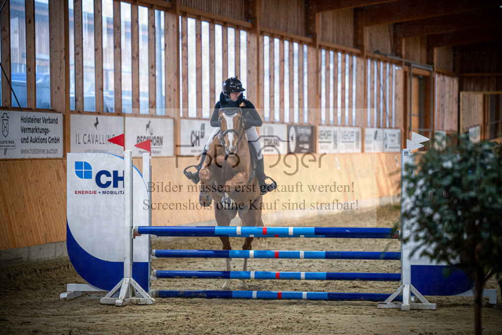 DOS_0923 | Entdecke hochwertige Reitturnierfotos von Foto Oger. Professionell, emotional und authentisch – jetzt Lieblingsmomente im Shop bestellen.Deutschlandweite Turnierfotografie. - Realisiert mit Pictrs.com