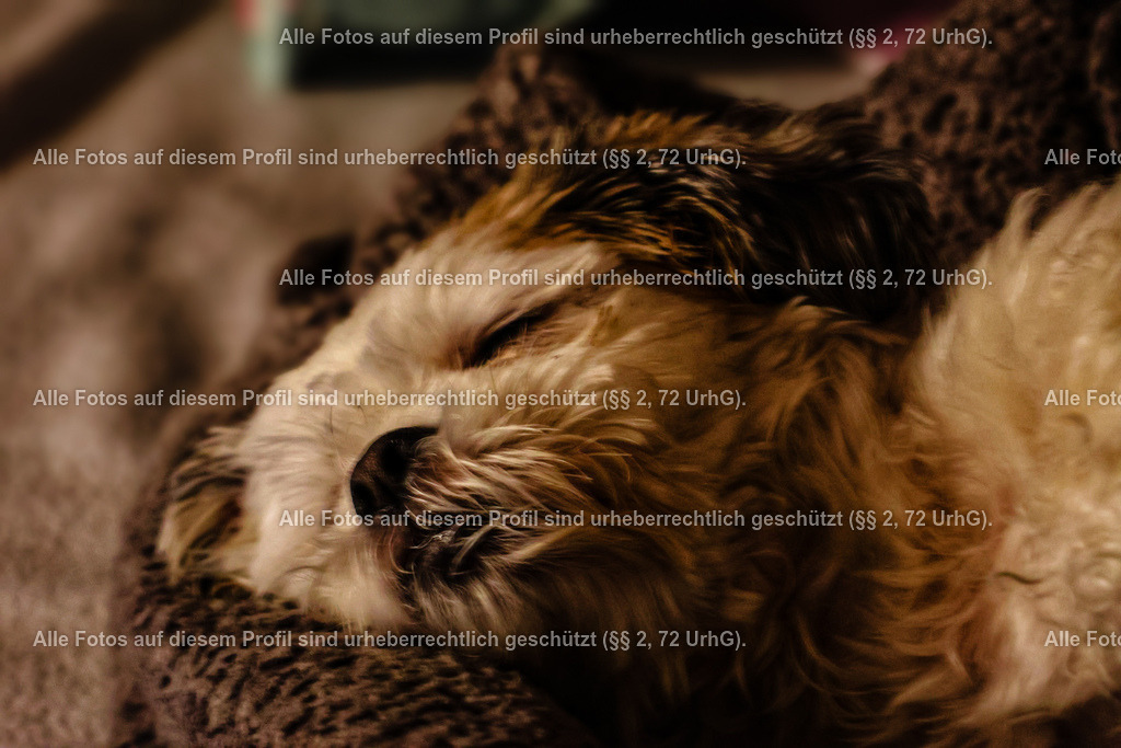 20240226204814_0C4A1974-01_2 | krollfotografie - Realisiert mit Pictrs.com