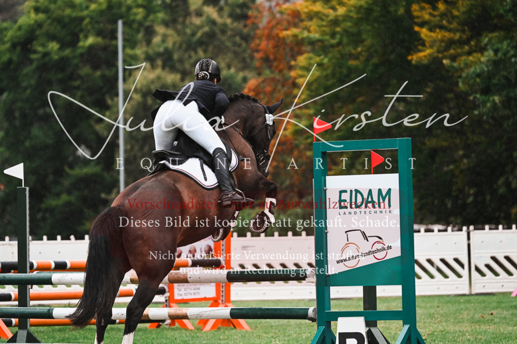 DSC_6327 | Pferde- und Turnierfotografie in Westsachsen. Pferdeportraits, Auftragszeichnungen und intuitive Kunst.