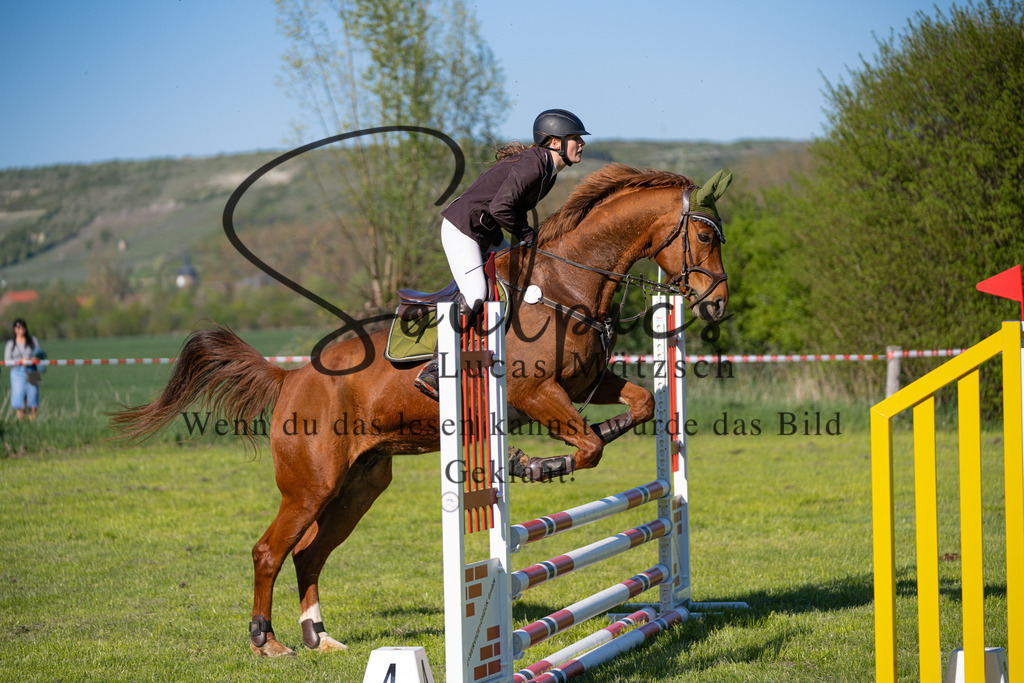 A7V01652 | Pferdefotograf