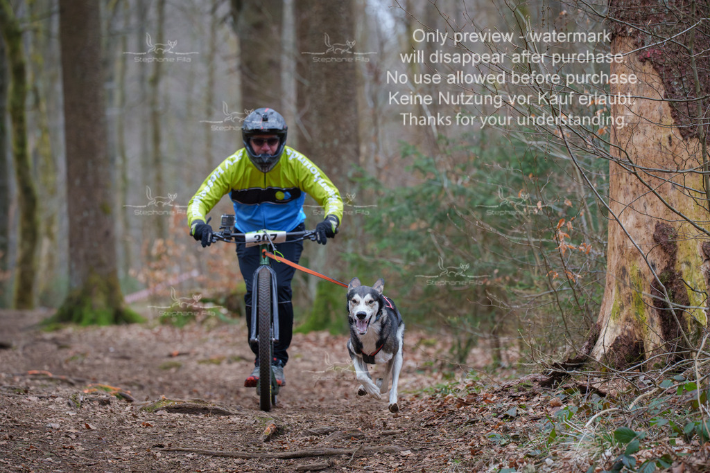 Scooter_So-58 | stephaniefillaphotographie - Realisiert mit Pictrs.com