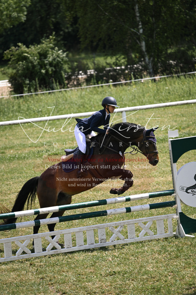 DSC_9651 | Pferde- und Turnierfotografie in Westsachsen. Pferdeportraits, Auftragszeichnungen und intuitive Kunst.