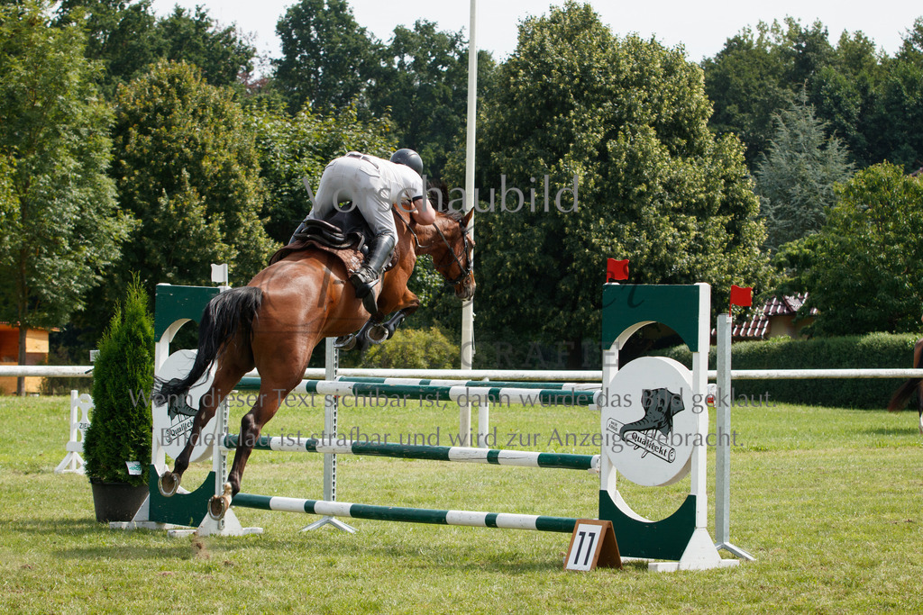 IMG_3411 | P. Berger Fotografie - Realisiert mit Pictrs.com