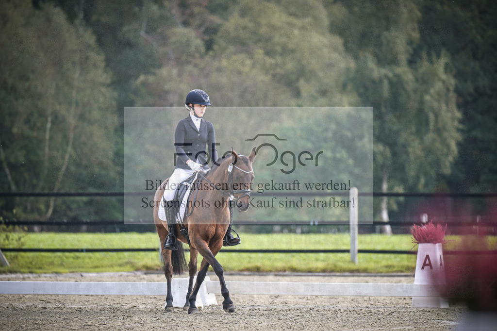 DOS_B453 | Entdecke hochwertige Reitturnierfotos von Foto Oger. Professionell, emotional und authentisch – jetzt Lieblingsmomente im Shop bestellen.Deutschlandweite Turnierfotografie. - Realisiert mit Pictrs.com