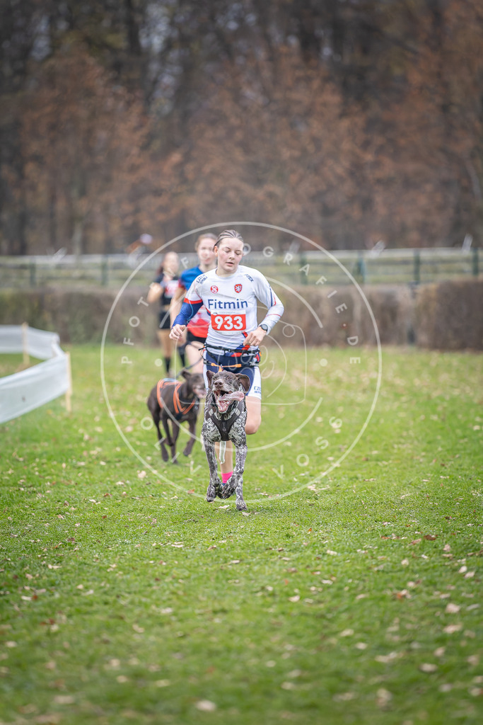 CaniXpix_DV3A7150 | Hundefotografie, Tierfotograf, Pfotenfotografie, Fotoshooting Hund, Hunde Portrait, Hundesport, Hundeportraits, Heideshooting, Hunde, Sportfotograf, Hundefotograf, Turnierhundsport, THS,  - Realisiert mit Pictrs.com