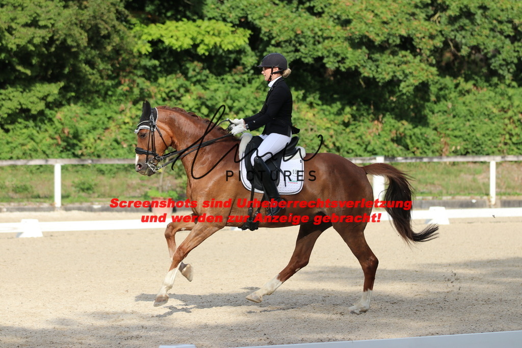 IMG_6300 | lmwpictures - Realisiert mit Pictrs.com