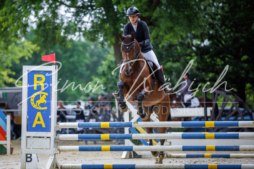 20260705-_3LI3517 | Tierfotografie Pferde, Hunde, Katzen, Haustiere.
Turnierfotografie Reitturniere, Reiten, Springreiten, Dressur in Hanau, dem Main-Kinzig-Kreis und dem Rhein-Main- Gebiet um Frankfurt