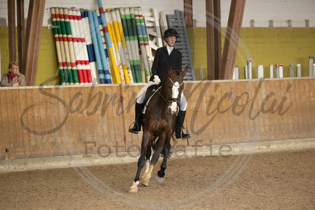 994A8777 | sabrinanicolaifotografie - Realisiert mit Pictrs.com