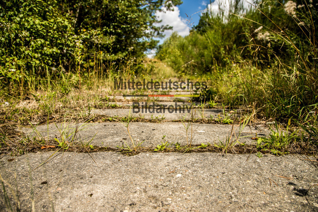 innerdeutsche Grenze Grünes Band Helmstedt-7380 | Die innerdeutsche deutsch-deutsche Grenze, das Grüne Band - Realisiert mit Pictrs.com