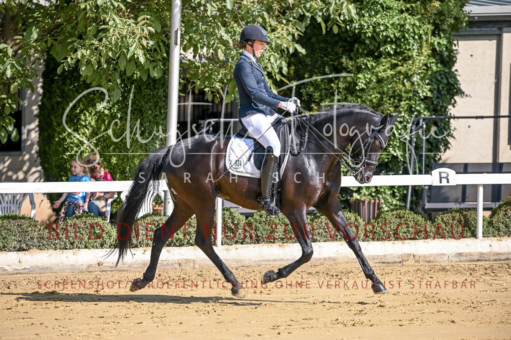 Schugtsche-Aluta25-52.Dressurprf.M2Kand-333 | Schugtsche Fotografie - Realisiert mit Pictrs.com