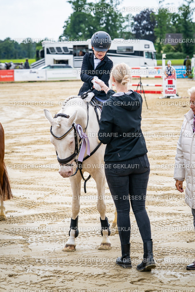 DSC06548 | Pferdegrafie