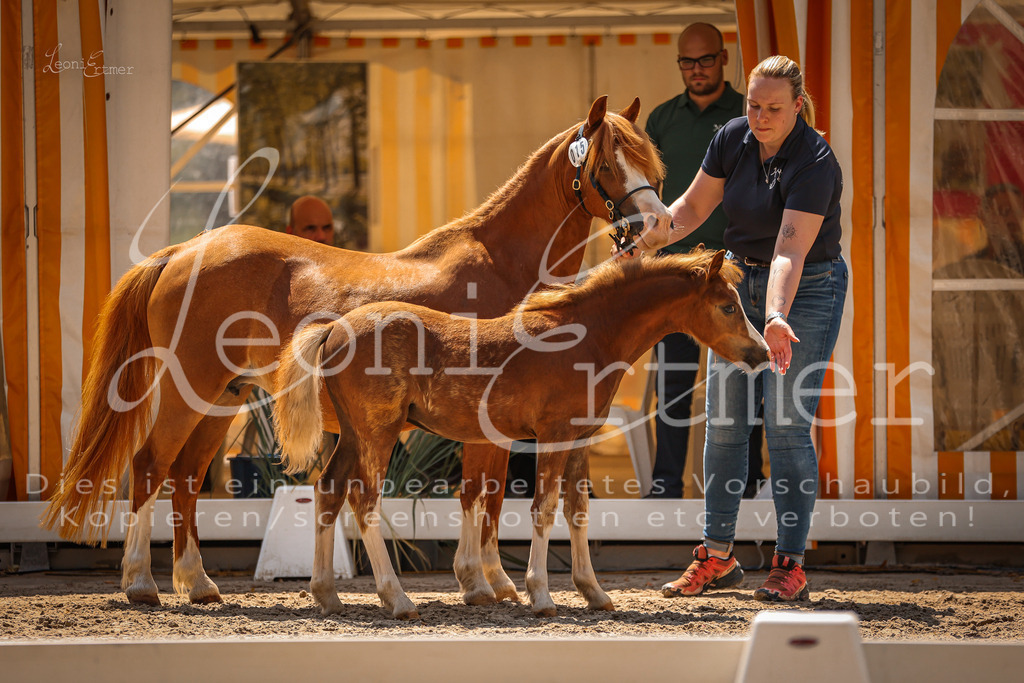 04.DoWP00004 | Leoni Ertmer Photography - Realisiert mit Pictrs.com