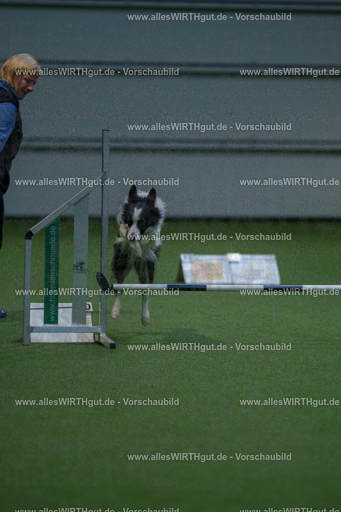 7R501045 | Professionelle Tierfotografie in Mönchengladbach von Daniel Wirth (allesWIRTHgut). Liebevolle & natürliche Bilder von Hunden & Katzen für unvergessliche Erinnerungen.