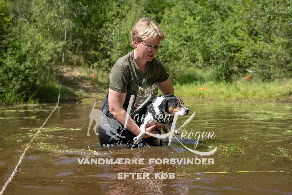 DK K991517141417 | kk-dogfotos