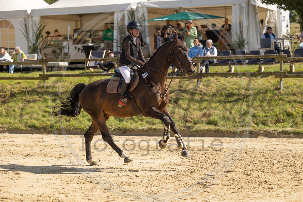 994A8190 | sabrinanicolaifotografie - Realisiert mit Pictrs.com