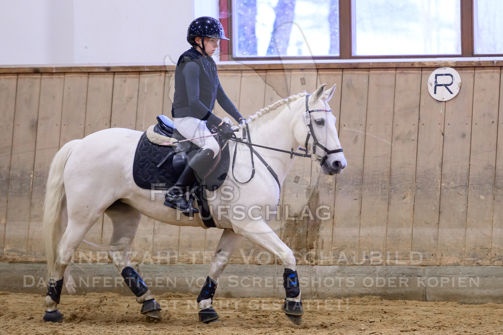 29032026-Schwaiganger-Prfg01-224 | Fokus Hufschlag Fotografie - Realisiert mit Pictrs.com