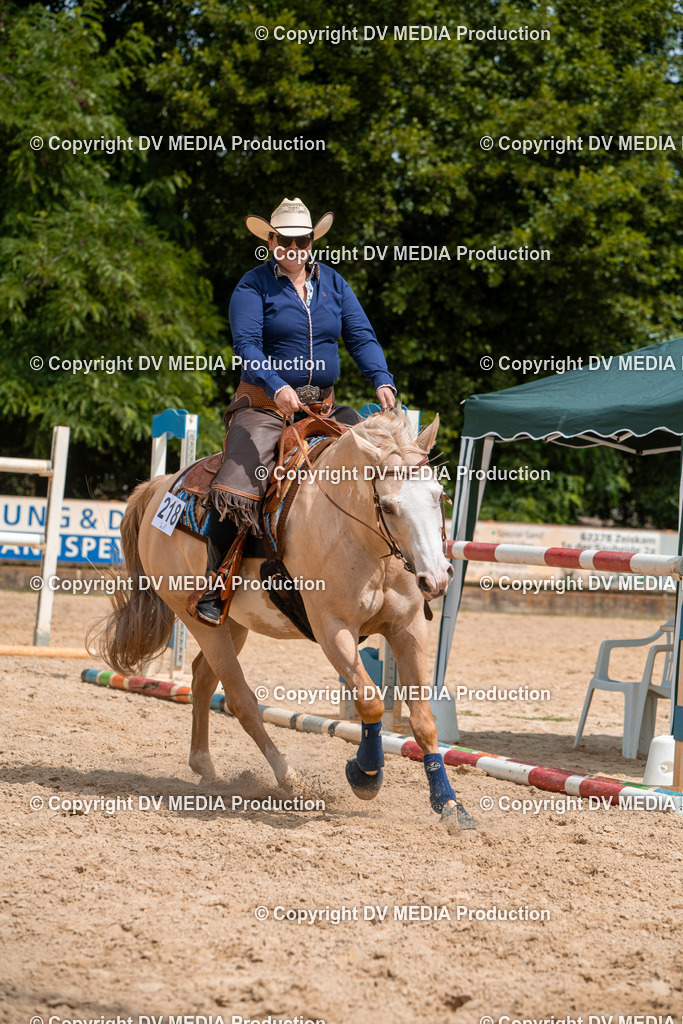 EWP_6191 | dv-media-shop - Realisiert mit Pictrs.com