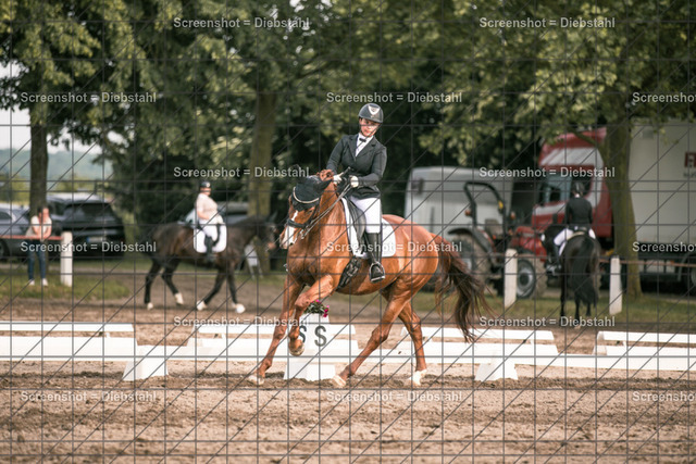 _W6A4833 | ronjaprokoschfotografie - Realisiert mit Pictrs.com