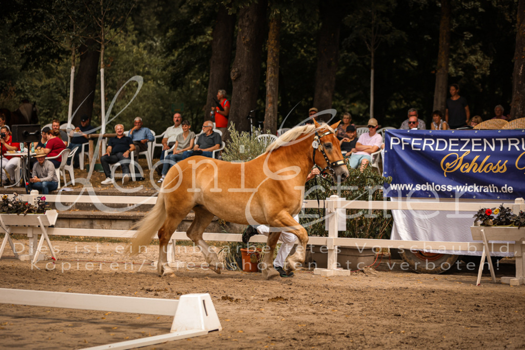 4.Sa00006 | Leoni Ertmer Photography - Realisiert mit Pictrs.com