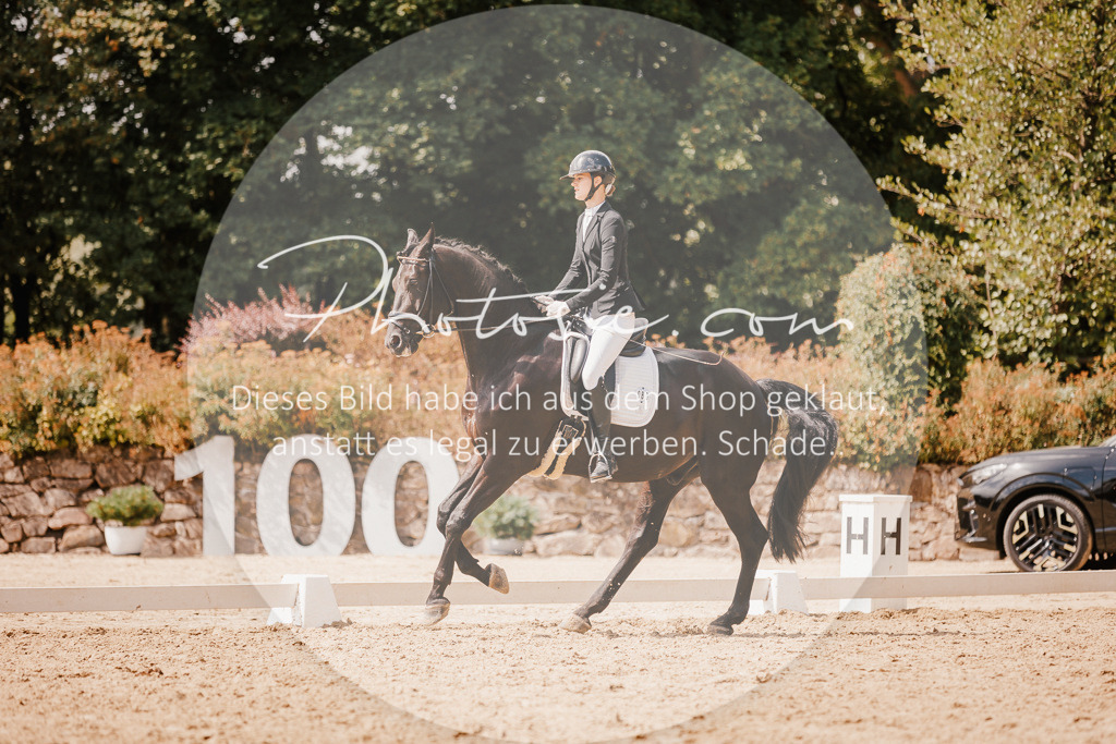 3I6A6092 | Stimmungsvolle Portraits und Reitsportfotografie im Ruhrgebiet und im Münsterland.

Pferdefotografie, Hundefotografie, Tierfotografie, Reportagen, Portraits von Tier und Mensch, Turnierfotografie in Bochum, Recklinghausen, Marl, Haltern am See, Dülmen.. - Realisiert mit Pictrs.com