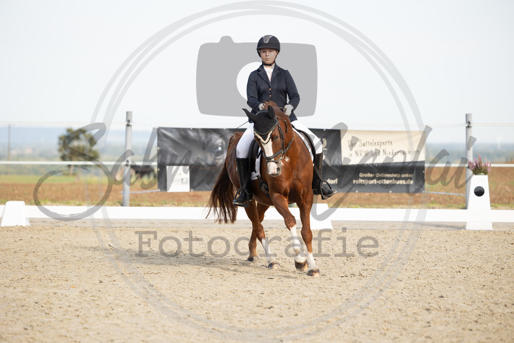 994A1201 | sabrinanicolaifotografie - Realisiert mit Pictrs.com