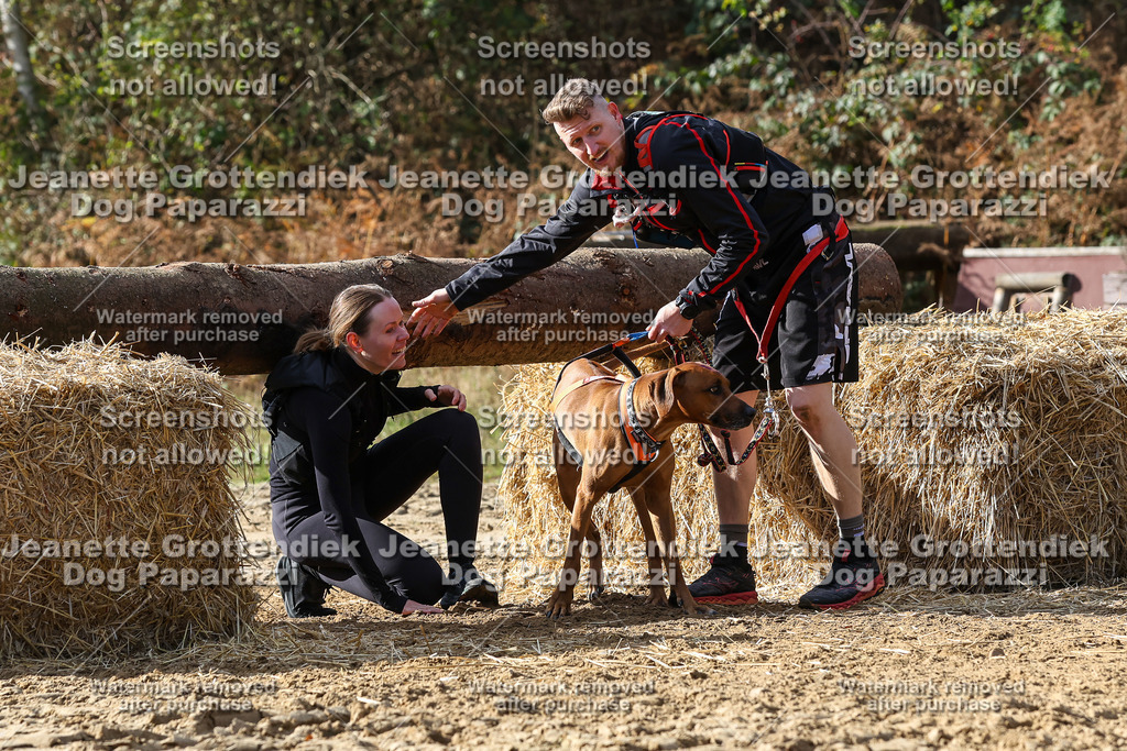Dog Paparazzi - Strongdog 10-25-5333 | Dog Paparazzi Jeanette Grottendiek Fotografie & Videografie - Realisiert mit Pictrs.com