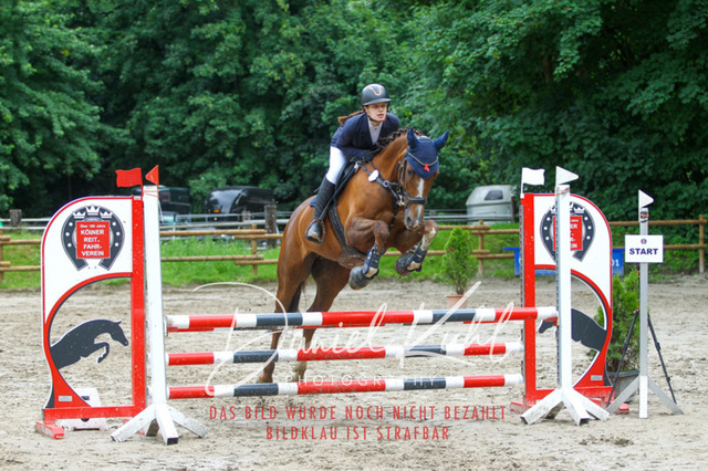 DKP45003 | Turnierfotos kaufen im Webshop von Daniel Kuhl Photography – entdecke professionelle Reitsportfotos aus Turnieren & Events. Hochwertige Turnierbilder online bestellen & sichern. Jetzt Fotos von Reitsportturnieren kaufen!