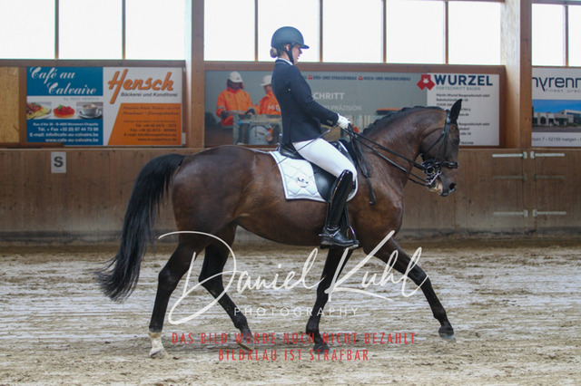 DKP45604 | Turniersportfotografie; Pferdefotografie; Dressurfotografie