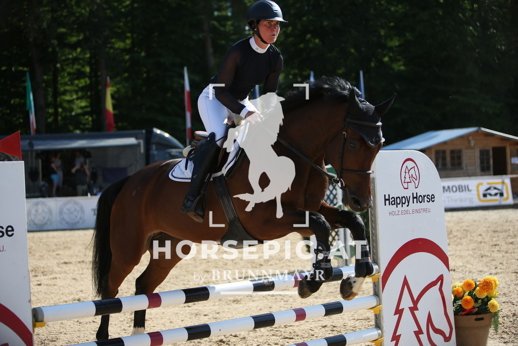 PP016332 | Willkommen bei Brunnmayr - Design & Fotografie – Ihrem Spezialisten für Reitturniere und Pferdeveranstaltungen in Oberösterreich, Salzburg und Bayern! Seit über 17 Jahren sind wir leidenschaftlich dabei.