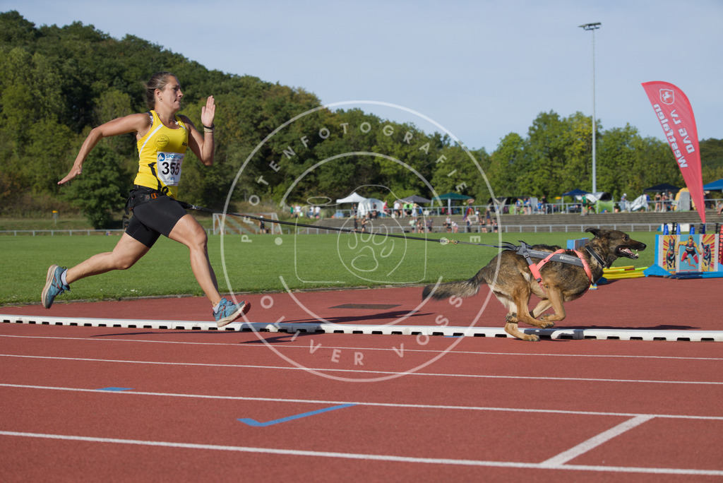 0L8A9906 | Hundefotografie, Tierfotograf, Pfotenfotografie, Fotoshooting Hund, Hunde Portrait, Hundesport, Hundeportraits, Heideshooting, Hunde, Sportfotograf, Hundefotograf, Turnierhundsport, THS,  - Realisiert mit Pictrs.com