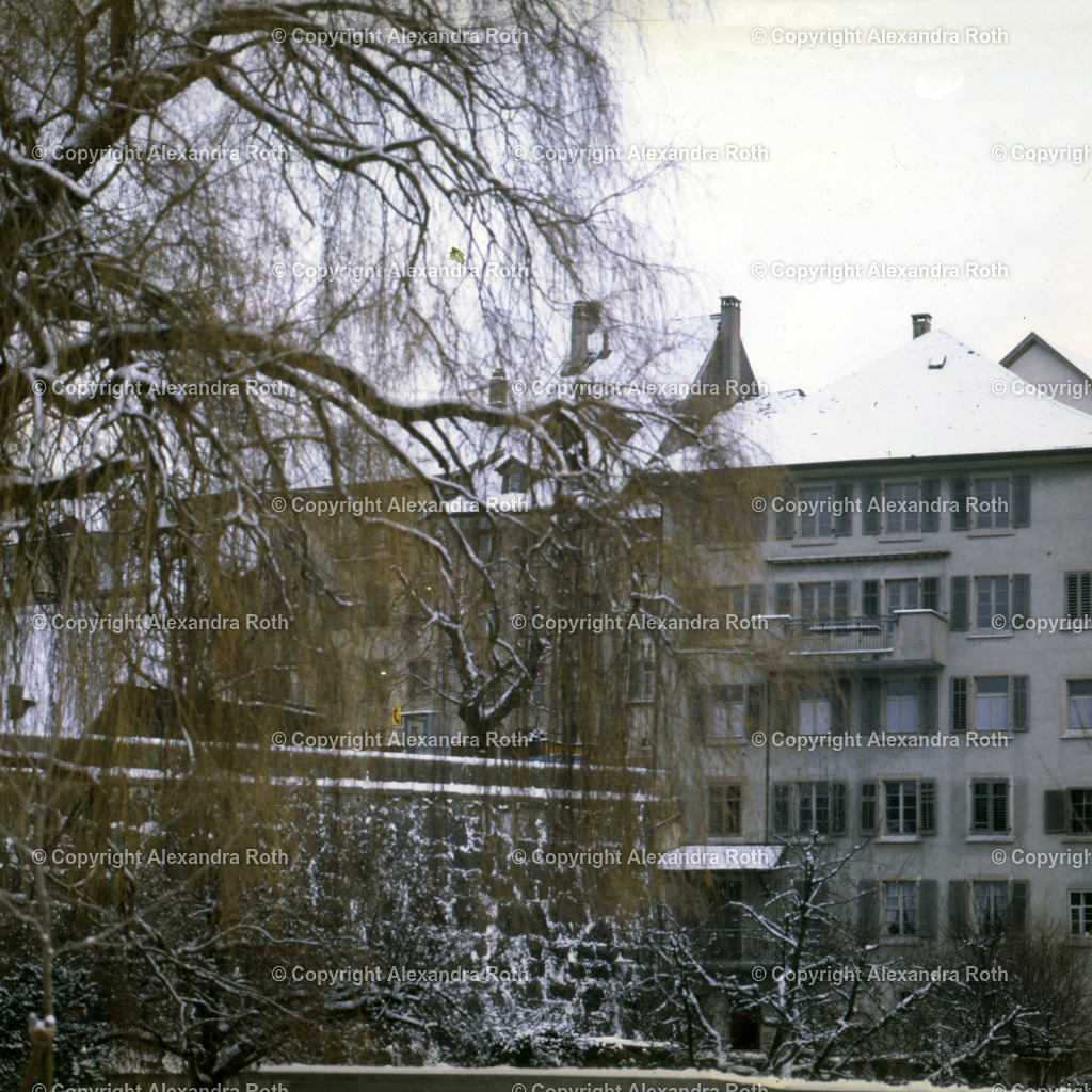 Aarau_0968 | onlineshop - Realisiert mit Pictrs.com