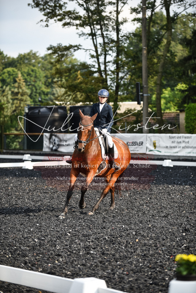 DSC_3373 | Pferde- und Turnierfotografie in Westsachsen. Pferdeportraits, Auftragszeichnungen und intuitive Kunst.