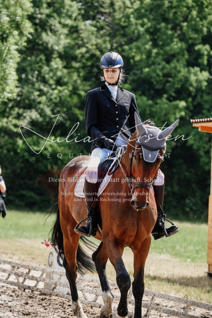 DSC_1117 | Pferde- und Turnierfotografie in Westsachsen. Pferdeportraits, Auftragszeichnungen und intuitive Kunst.
