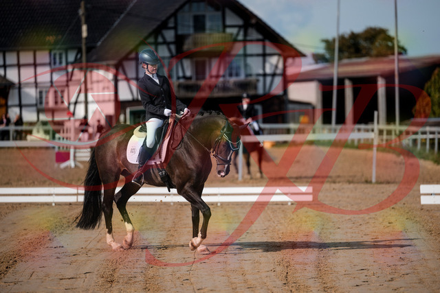 2026_10_03_Siefer-Hof_113335_Z63_19954251 | Professionelle Reitsport-, Turnier- und Eventfotografie von Robert Broda. Galerien mit ausgewählten und bearbeiteten Bildern direkt online ansehen und bestellen.