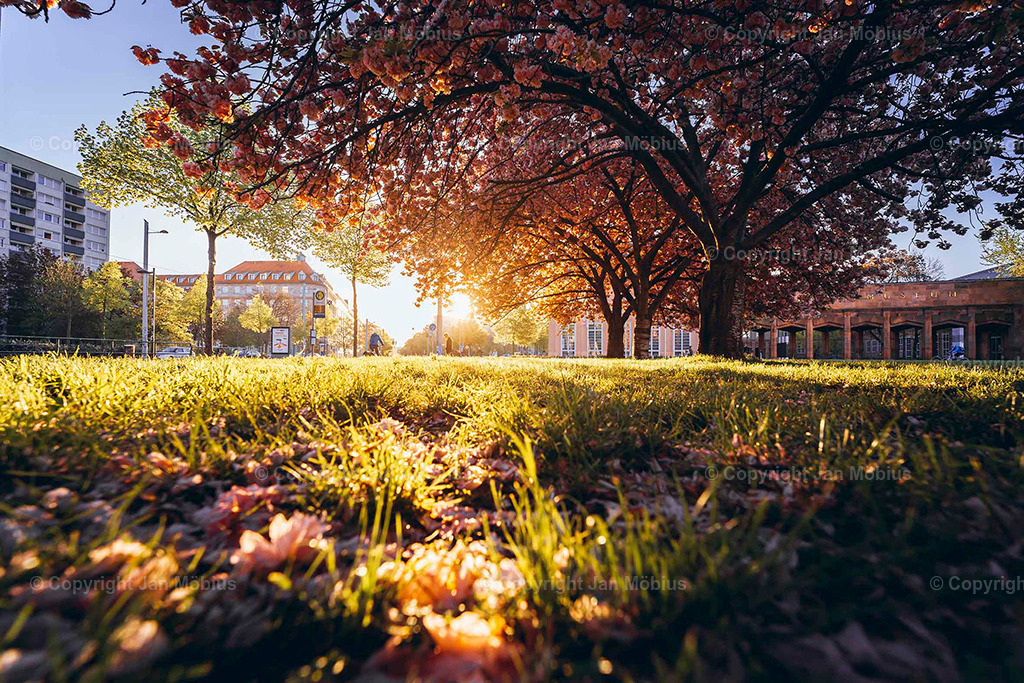 _DSC3805 | Leipzig Wandbilder Drucke Prints Leinwand Stadtmotive Leipzig Fotosdruck Kunstdrucke Bilder Leipzig Stadtansichten Acrylglasbilder Leipzig Wanddeko Fine Art Prints Wandbilder Büro Leipzig Bilder Praxis Zuhause Bilderdruck Poster Posterlounge Kunstdrucke - Realisiert mit Pictrs.com